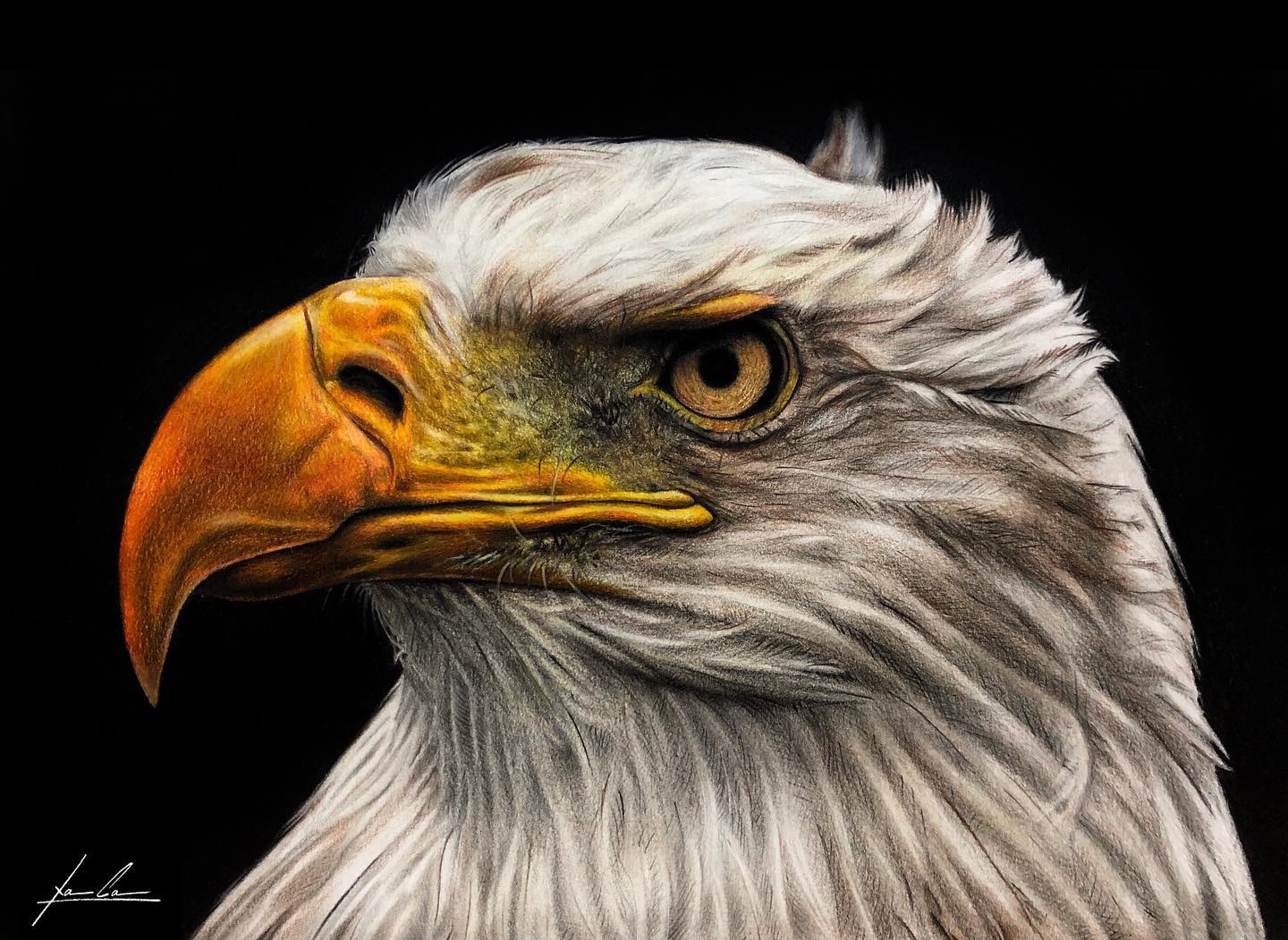 Águila, obra original de Xavier Cáceres