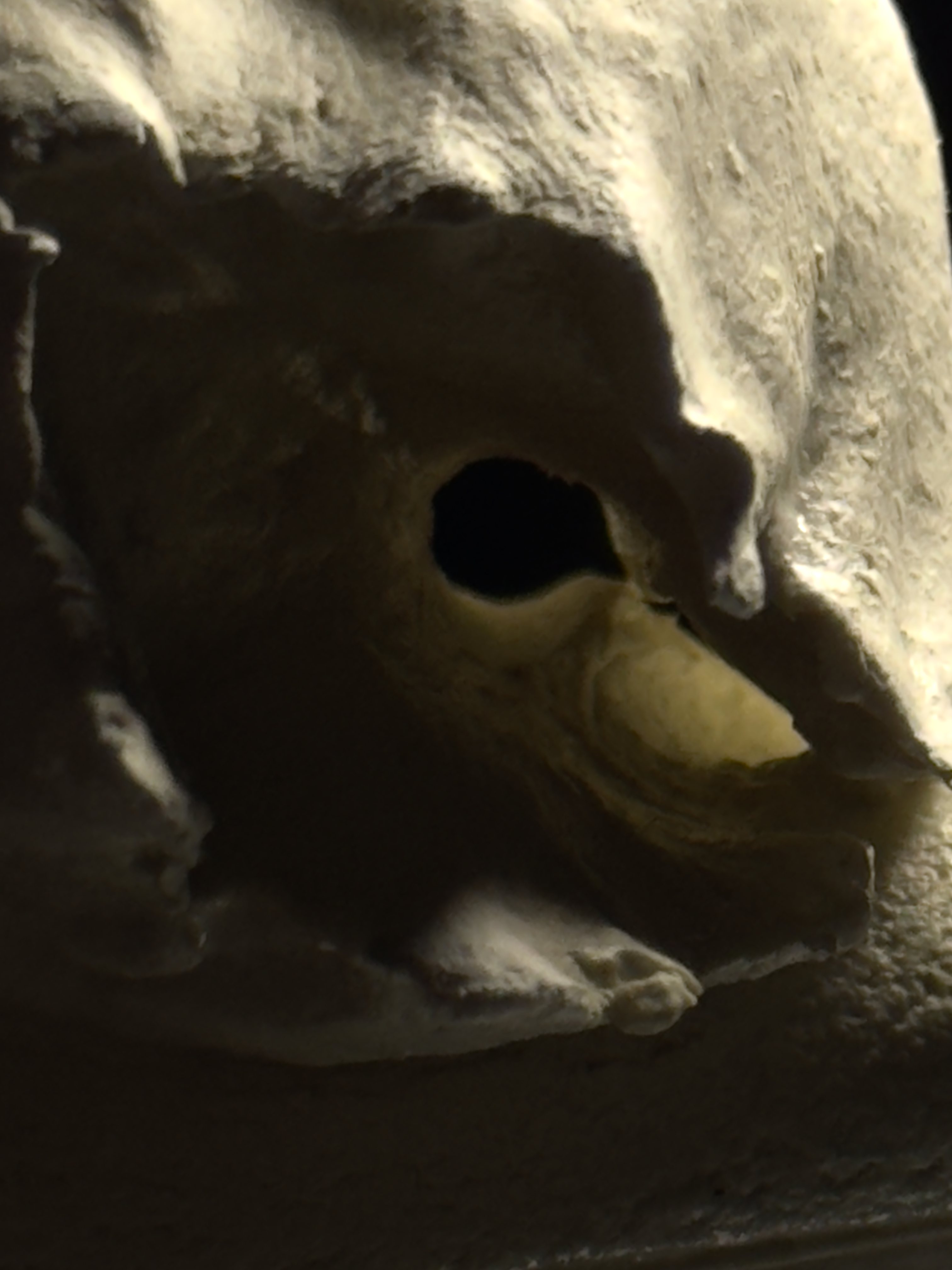 Detalle de El Alma del Valle de Xavier Cáceres