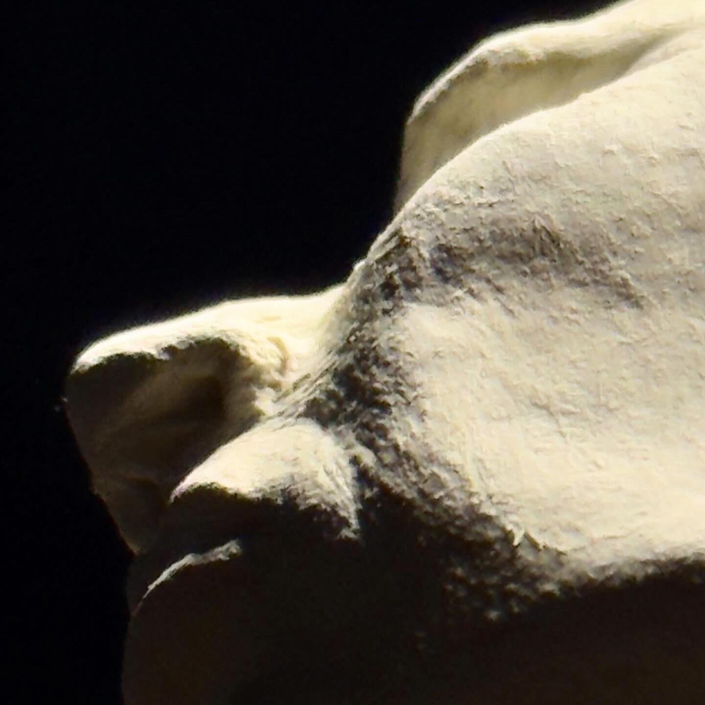 Detalle de El Alma del Valle de Xavier Cáceres